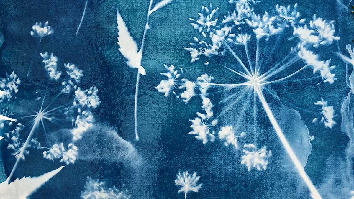 Cyanotype Printing